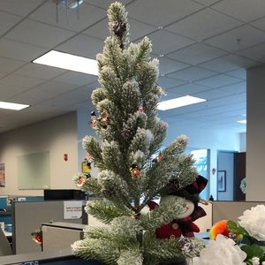 Meet your Posher, Ami